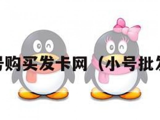 qq小号购买发卡网（小号批发发卡）